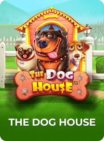 The Dog House — Slots en CatrinaBet México